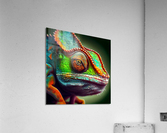 Chameleon 1  Acrylic Print