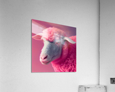 Shaved pink sheep 1  Acrylic Print