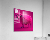 Pink sheep 2  Acrylic Print