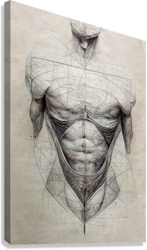 Perfect Anatomy drawing 1  Canvas Print