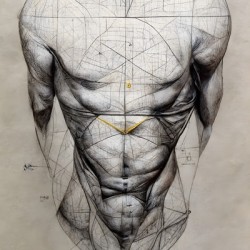Perfect Anatomy drawing 2