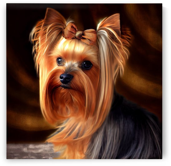Gold Yorkie terrier 2 by diotoppo