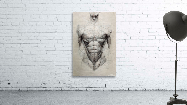 Perfect Anatomy drawing 1 by diotoppo